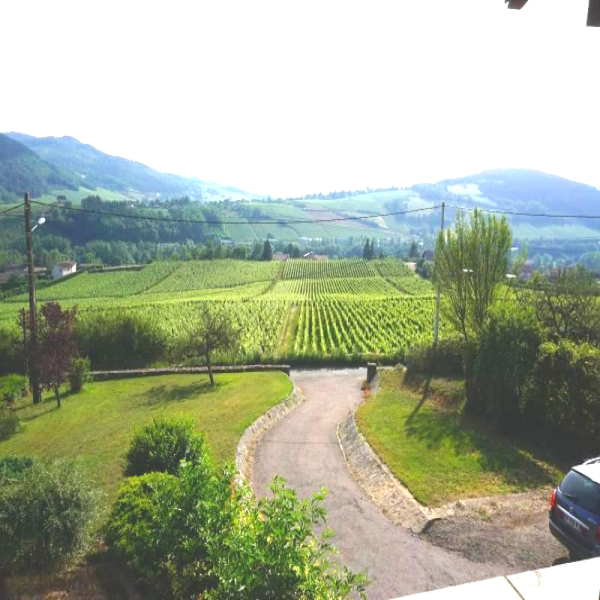 Offres de vente Maison Prissé 71960