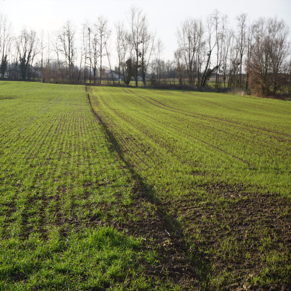 Offres de vente Terrain La Chapelle-de-Guinchay 71570