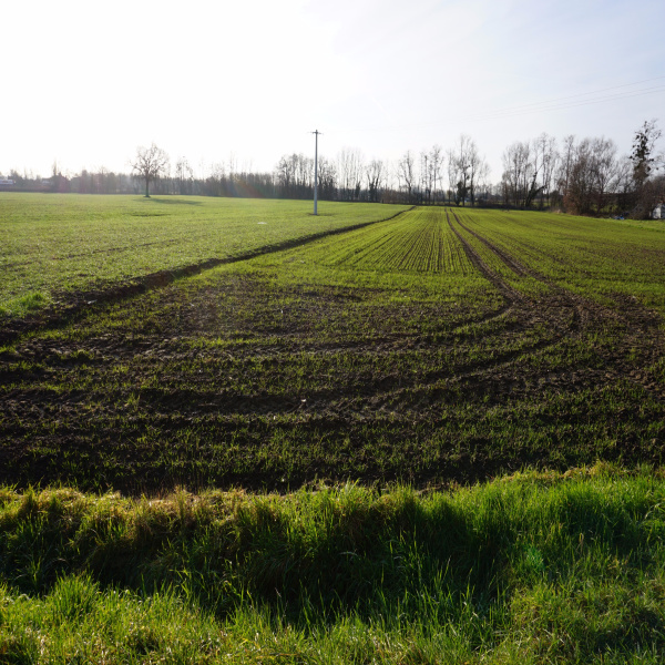 Offres de vente Terrain La Chapelle-de-Guinchay 71570