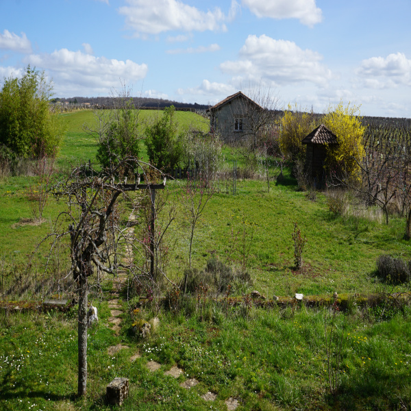 Offres de vente Maison Charnay-lès-Mâcon 71850