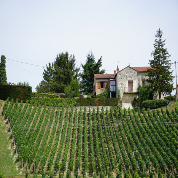 Offres de vente Maison Prissé 71960